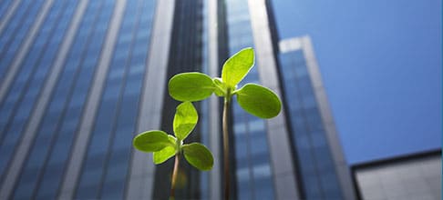 GREEN BUILDING